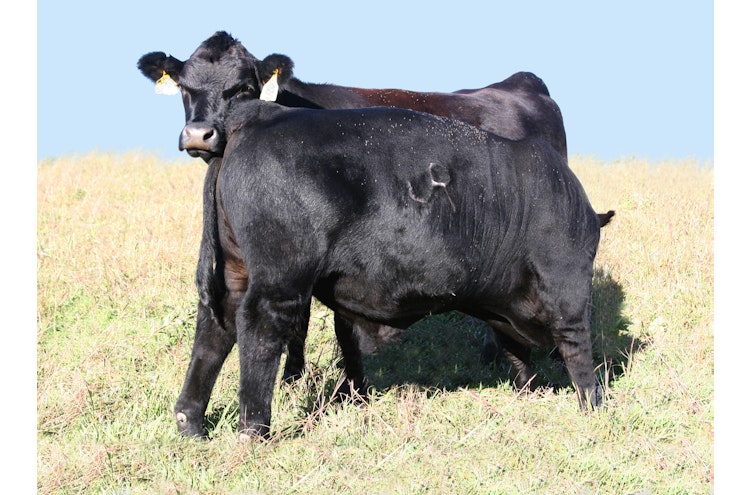 Welcome to Judd Ranch! | Judd Ranch