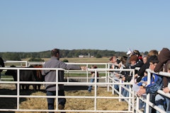 Welcome to Judd Ranch! | Judd Ranch