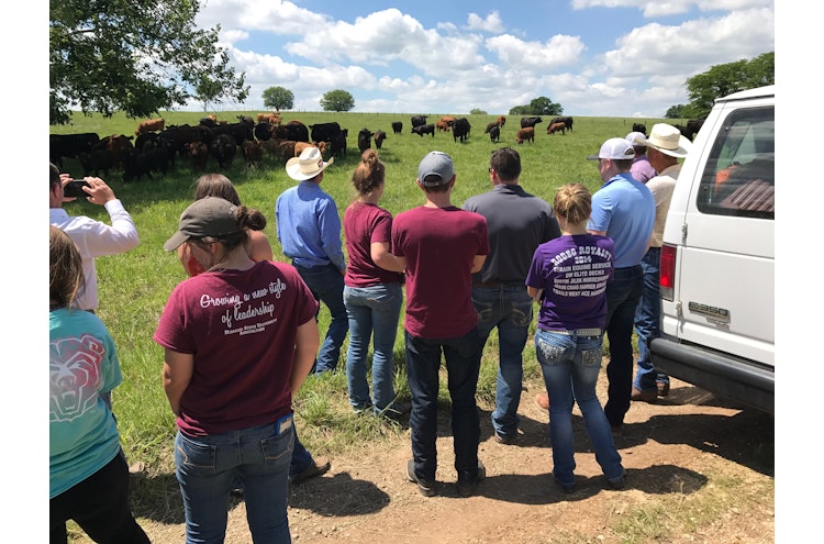 Welcome to Judd Ranch! | Judd Ranch