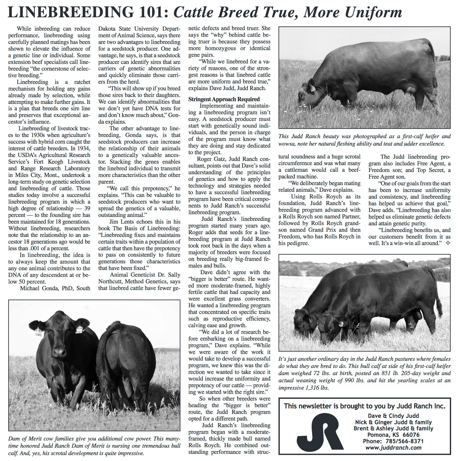 LINEBREEDING 101: Cattle Breed True, More Uniform